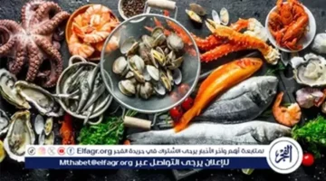 تذبذب أسعار المأكولات البحرية والجمبري في قنا يوم الأحد 30-11-2025